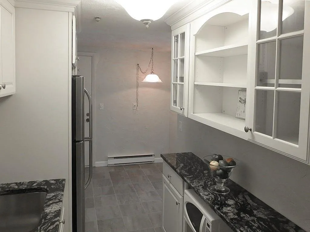 1 bed, 483 sqft, $1,560 — Photo 4