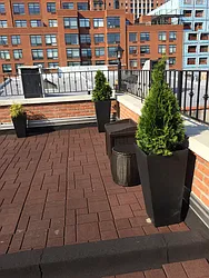 Rented by Picture Realty Inc.