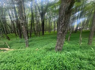 Lots 96 & 97 Bluebird Dr, Terra Alta, WV 26764