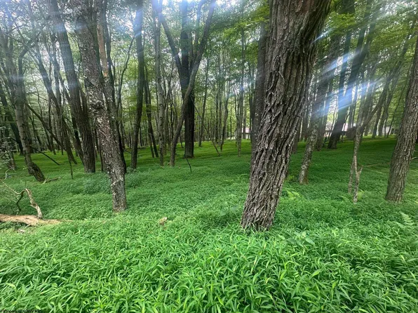 Lots 96 & 97 Bluebird Dr, Terra Alta, WV 26764