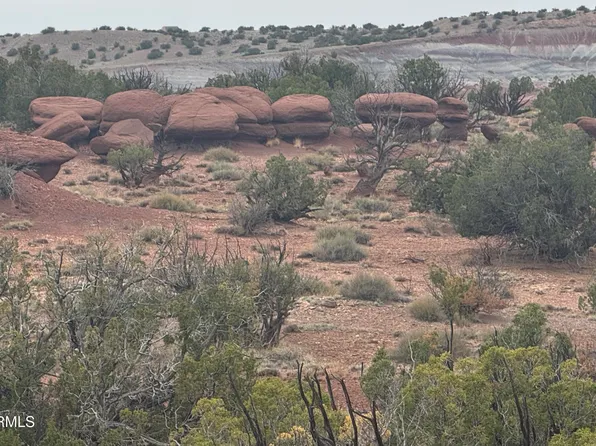 Lot 222 River Springs Ranch -- #222, St Johns, AZ 85936