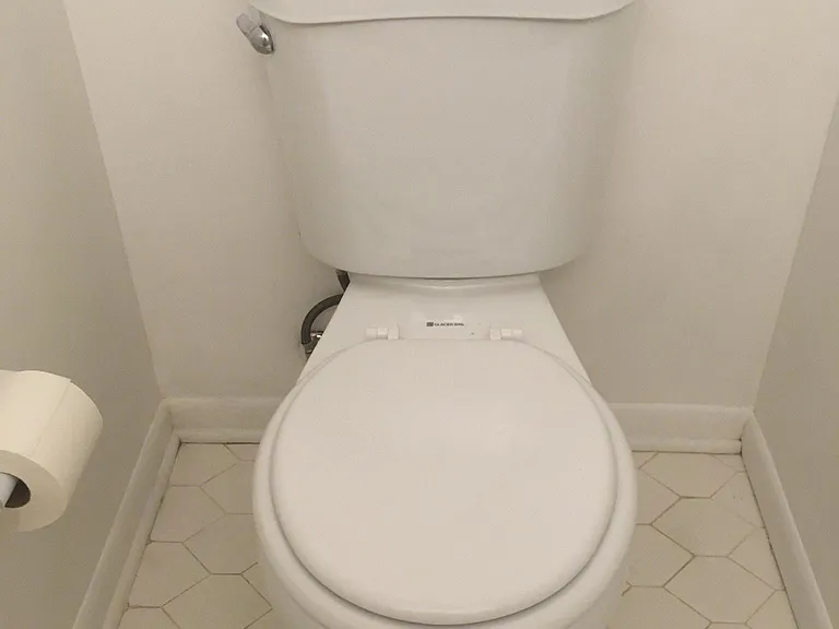 All bathrooms will have this new toilet.
