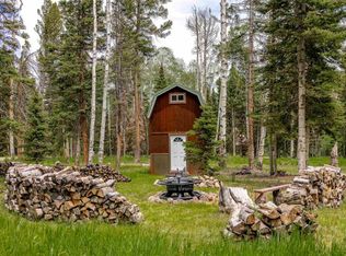 601 Balsam Road, Cimarron, CO 81220