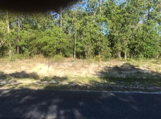 Willstone Way NE, Steinhatchee, FL 32359