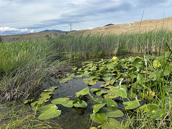 4th image of Nhn Lower Lynch Creek Rd