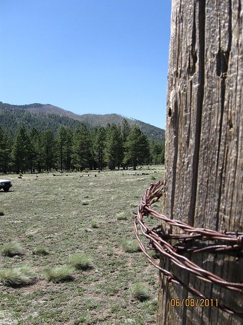 2nd image of Crowley Park