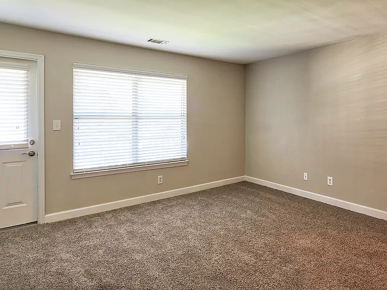 Newly renovated living room