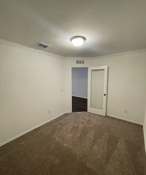 1005 Clear Dusk Ln — Photo 11
