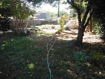 2nd image of 1469 Arcadian Ave