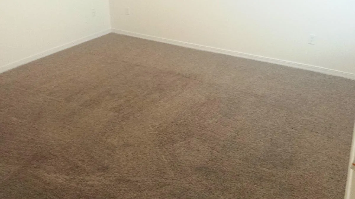 3 bed, 1100 sqft, $1,395 — Photo 4