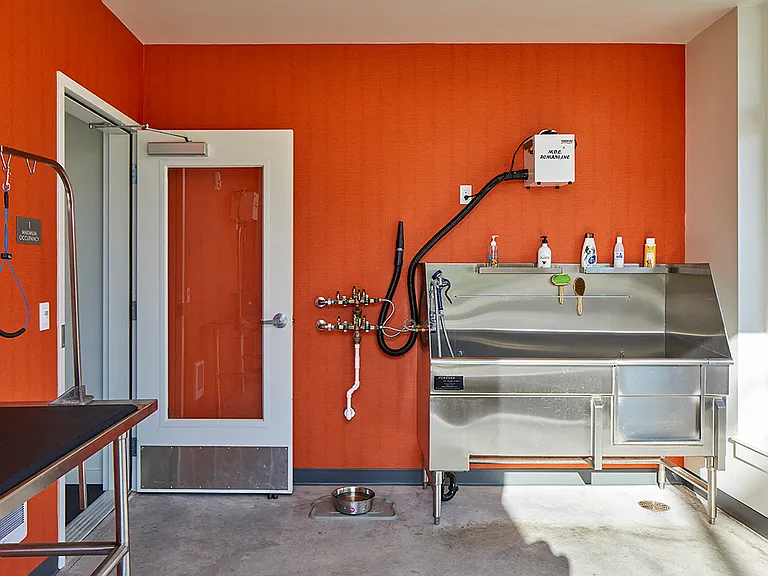 Pet Wash Station