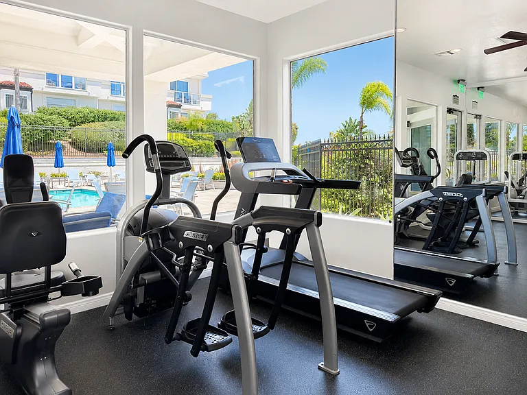 Fitness center - cardio equipment