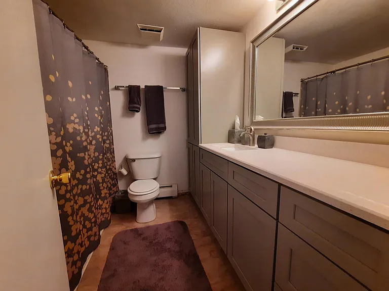 Remodeled bathroom with pantry and a closet.