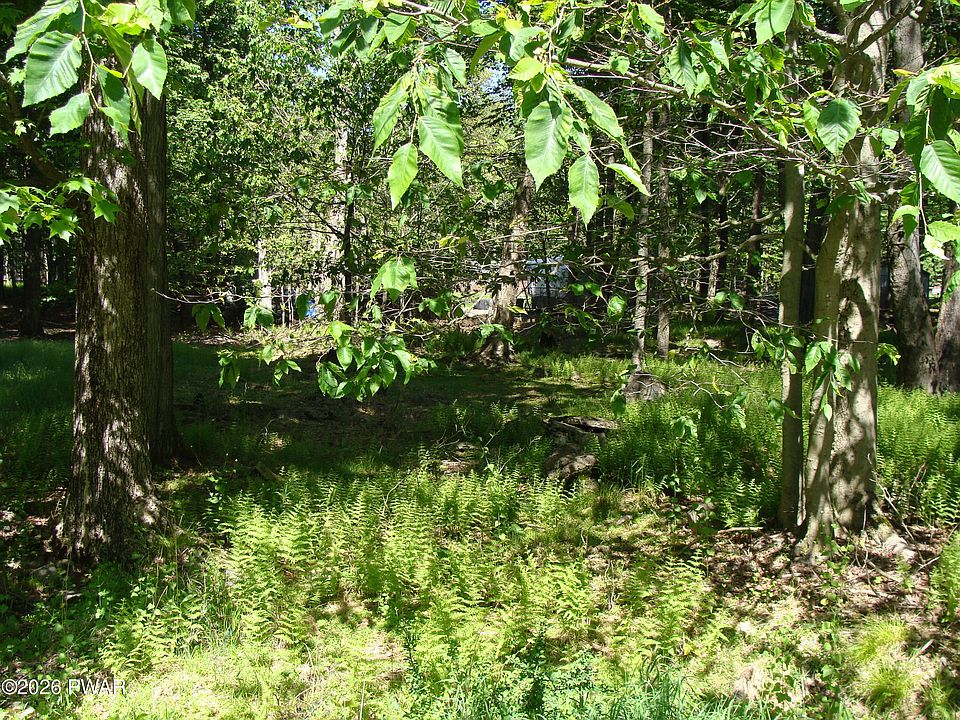 2nd image of Navaho Path