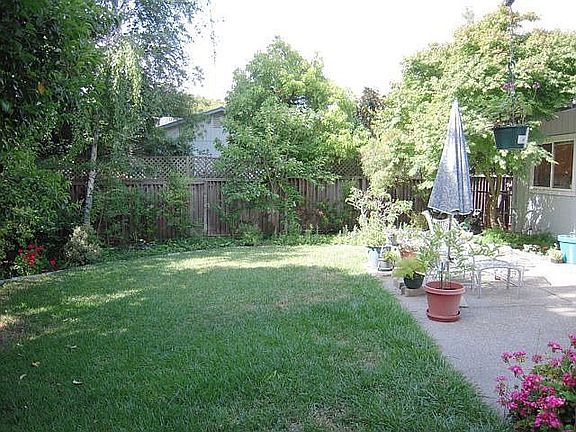 back yard and patio