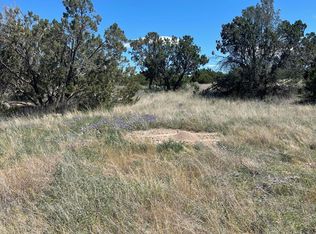 42 Park Rd, Edgewood, NM 87015