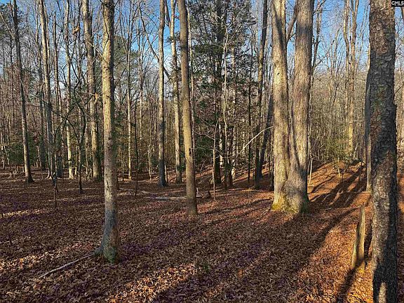 3rd image of 0 Mann Rd