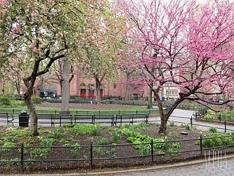 Rented by Alpha Properties NYC I LLC