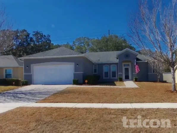 33931 Emerald Pond Loop, Leesburg, FL 34788