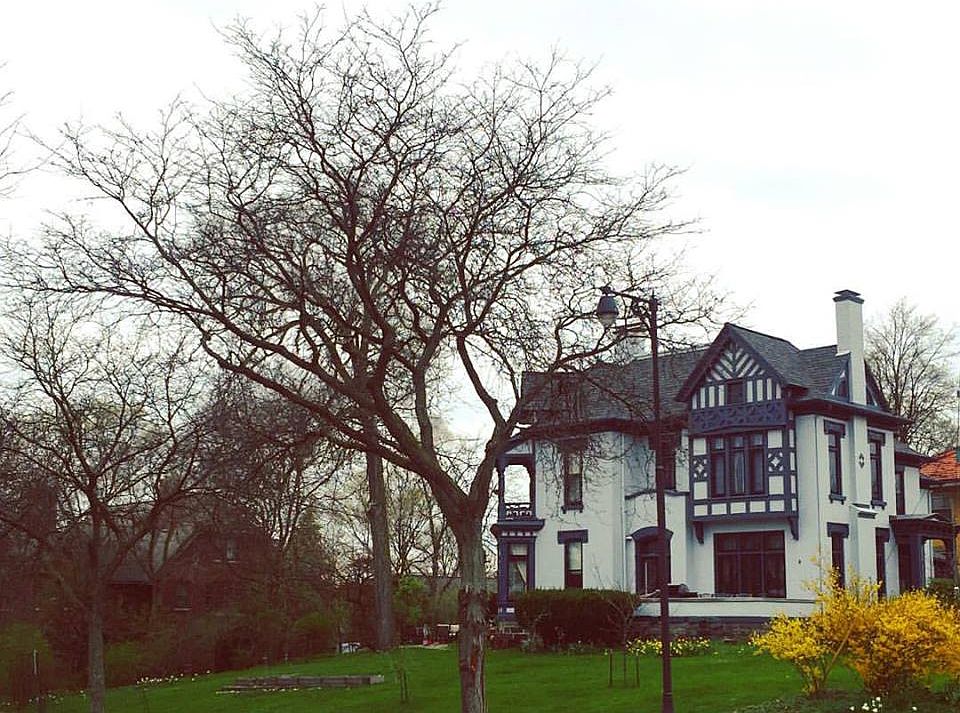 Mature trees & perennials