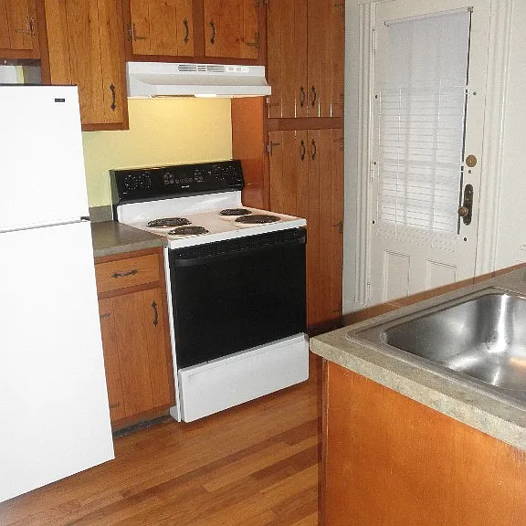203 Lewis St #12 — Photo 4
