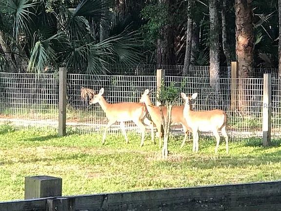 3rd image of Deer Path Dr