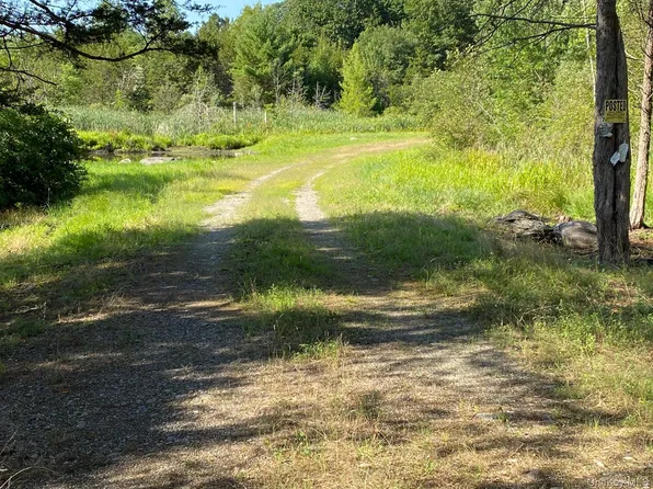 Jerry, Wassaic, NY 12592