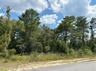 LOT 11 Antelope St, Spring Hill, FL 34609