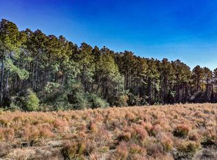 4493 Altamaha Sch Rd NW TRACT 1, Baxley, GA 31513