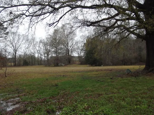 Eddiceton Rd, Meadville, MS 39653