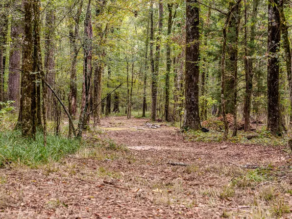 Old Highway 51 Rd, Pickens, MS 39146