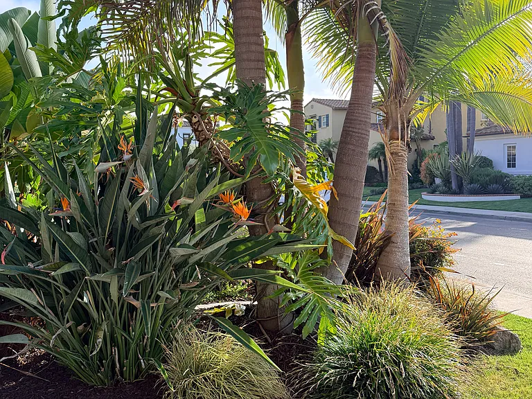 28102 Las Brisas Del Mar — Photo 14