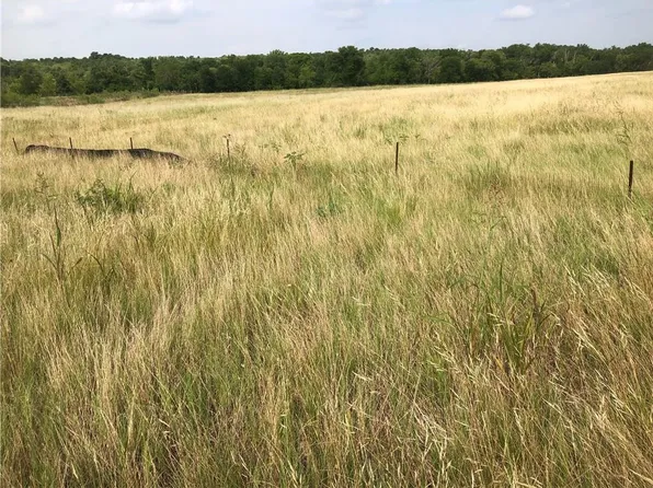 Camino Real, Kyle, TX 78640