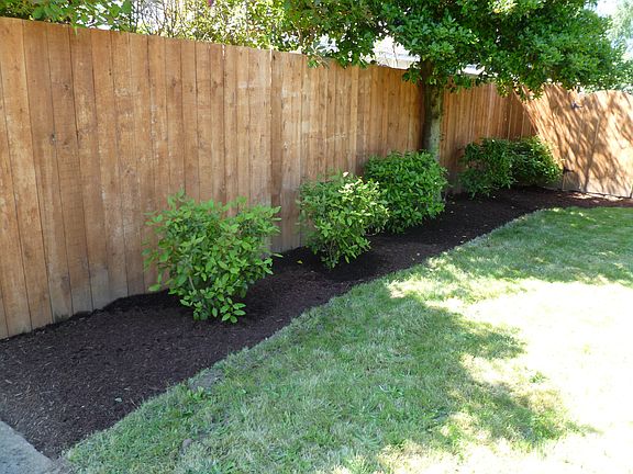 another view of backyard