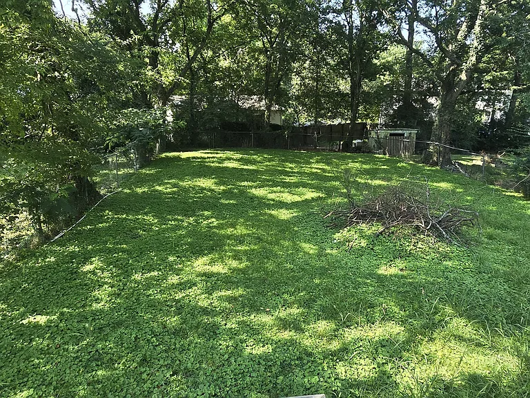 1011 Adair St — Photo 9