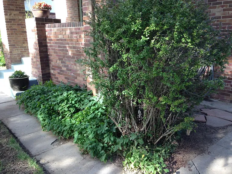 752 Front corner