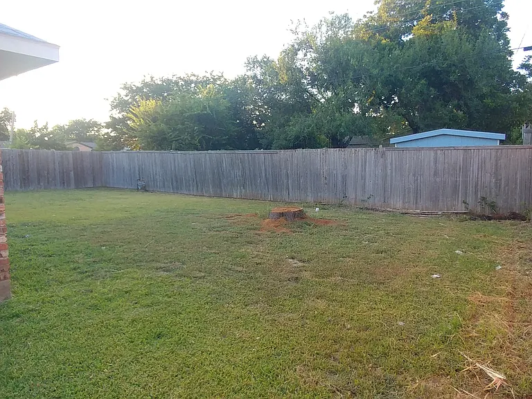 Back Yard