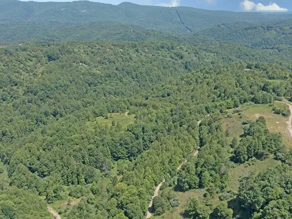 Pat Field Rd, Haysi, VA 24256