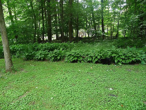 Beautifully landscaped.