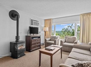 220 Mountainside Dr UNIT E201, Stowe, VT 05672