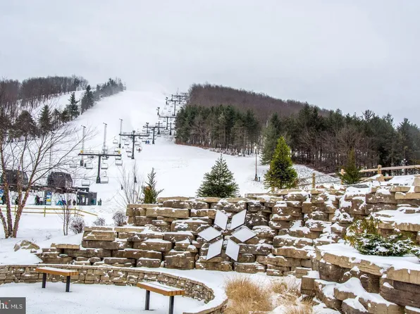 290 Marsh Hill Rd #768F, Mc Henry, MD 21541