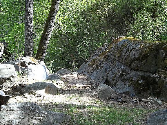 3rd image of 3477 Squire Ln