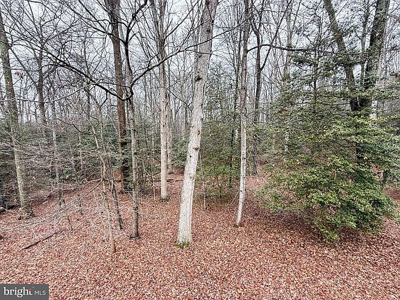 5th image of 3106 Hunt Rd