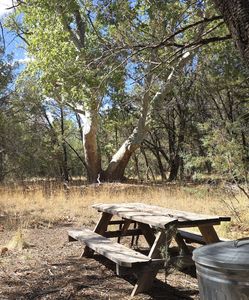 772 E Neaglin Xing, Young, AZ, 85554