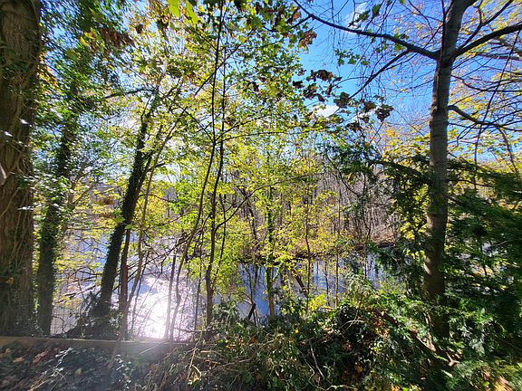 5th image of 411 Paw Paw Ave