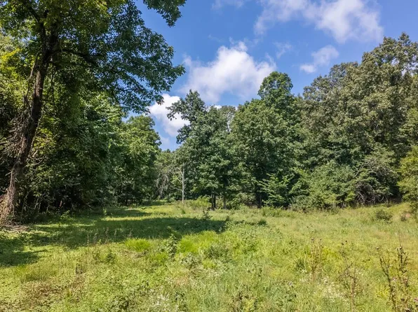 TRACT 1 Upper Janes Creek Rd, Ravenden, AR 72459