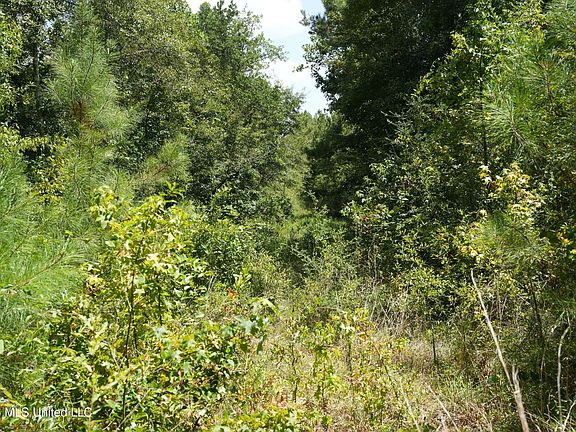 5th image of Joe Booth Rd