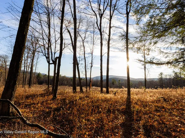 0 Mitchell Street, Hillsdale, NY 12529