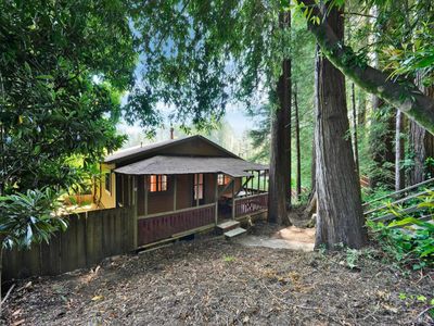 18300 Neeley Rd, Guerneville, CA, 95446