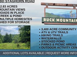 Tbd Staghorn Rd, Purlear, NC 28665